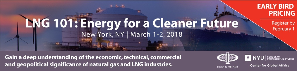 nyu-LNG-101-banner-1.jpg